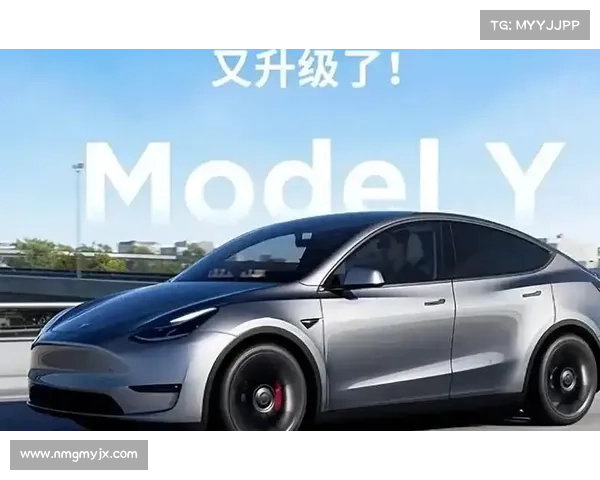 不只有加长Model Y,多款重磅新车都将“金秋见” 不只有加长Model Y,多款重磅新车都将“金秋见”