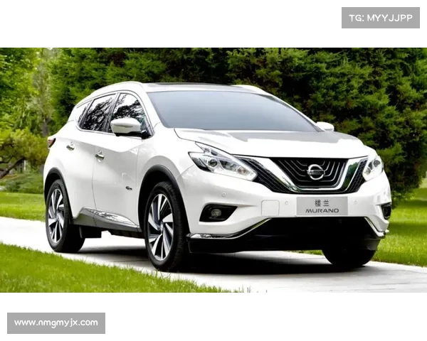 全新日产楼兰正式发布，配2.0T+9AT，有望明年国产上市